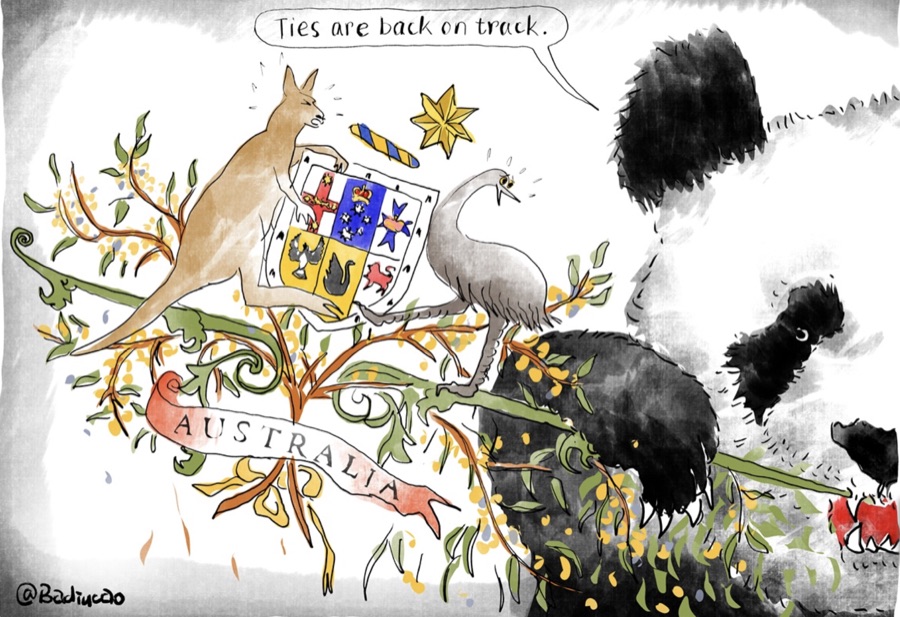 Political cartoons at the Australian Museum of Democracy