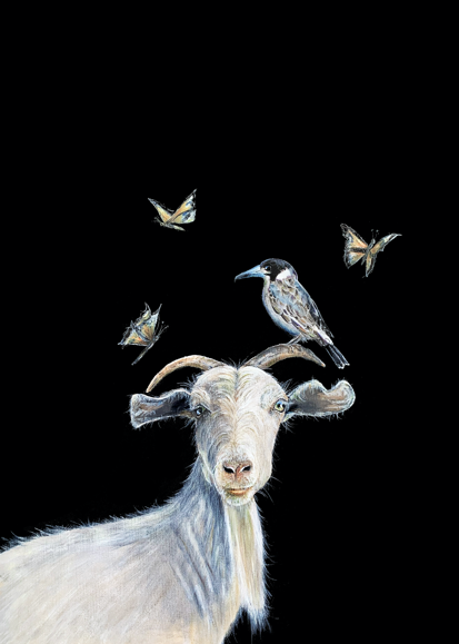 Jenny Wood Art